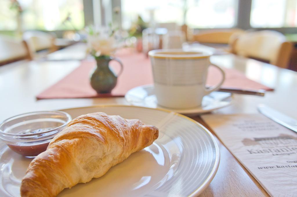 Hotel - Restaurant Kastanienhof Lauingen Екстериор снимка